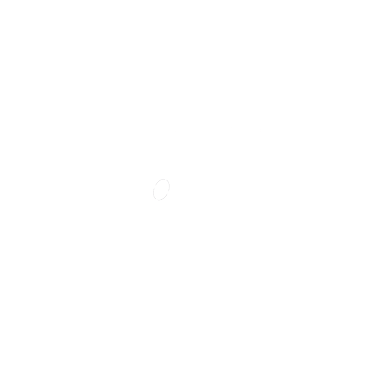 Lotus-biscuits-SEO