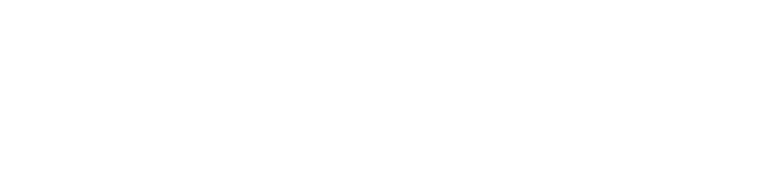 Shopify development Partner